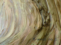 マハロ歯科越谷での、モルタルで造形した擬木